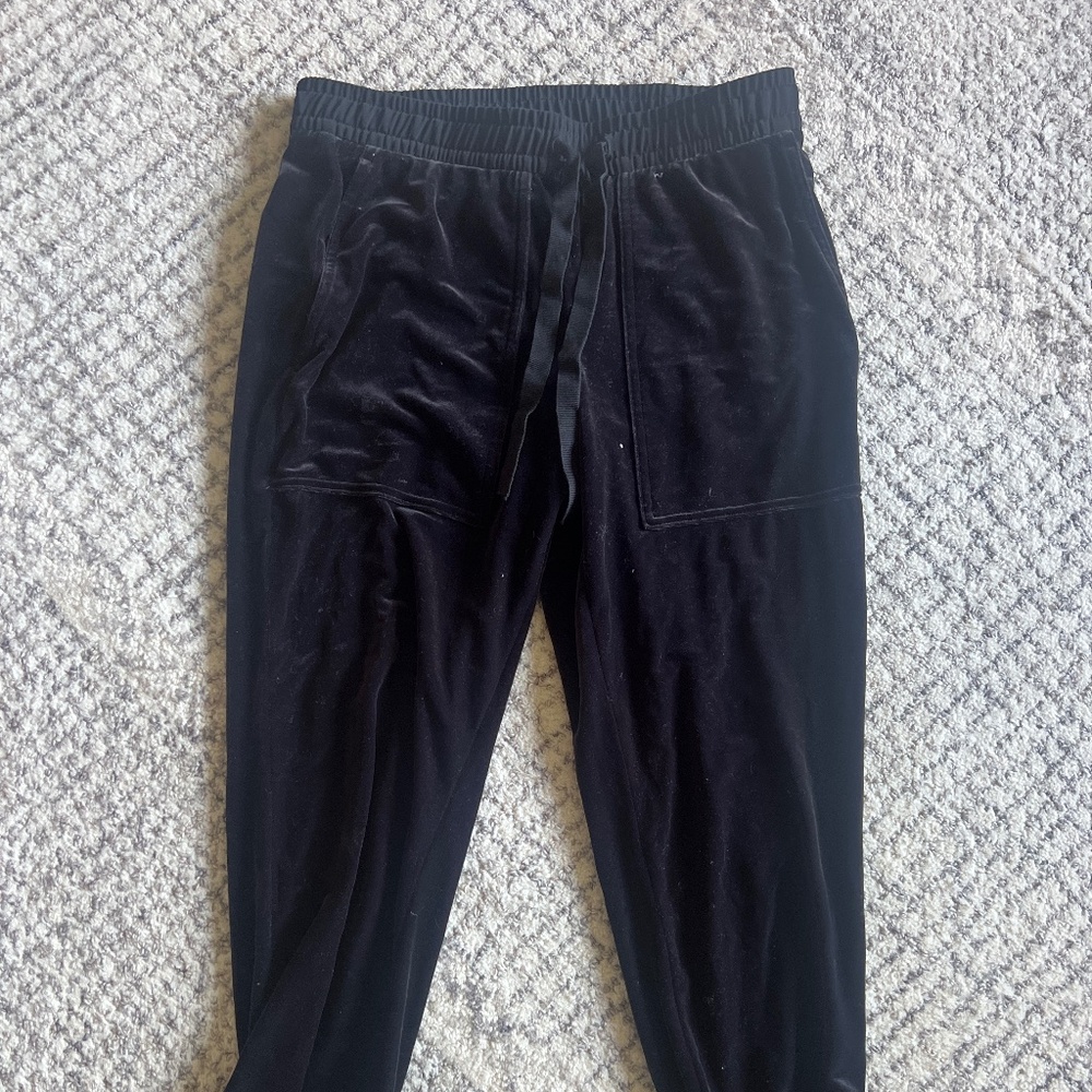 Ann Taylor velvet jogger style pant